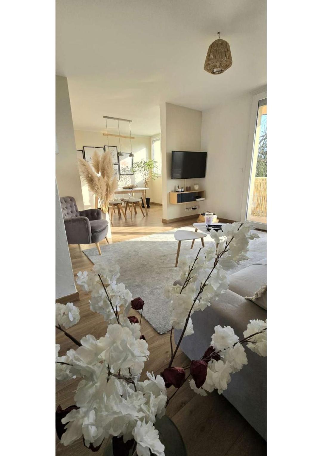 Superbe T3 Cosy, Parking Gratuit + Balcon Apartment Riom Exterior photo