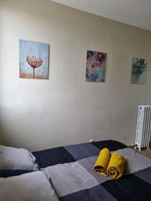 Superbe T3 Cosy, Parking Gratuit + Balcon Apartment Riom Exterior photo