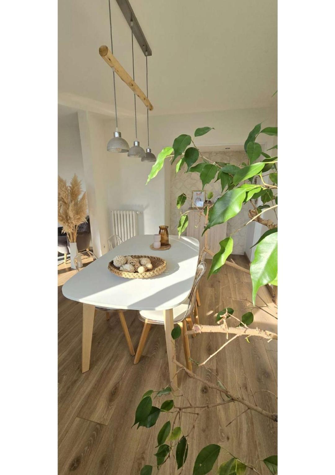 Superbe T3 Cosy, Parking Gratuit + Balcon Apartment Riom Exterior photo